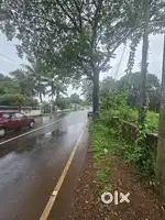 65 cent commercial property in Parassinikadavu kannur