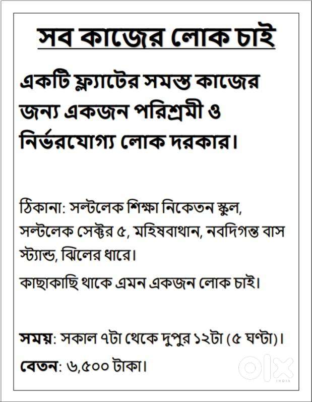 একটি ফ্ল্যাটের সমস্ত কাজের জন্য একজন পরিশ্রমী ও নির্ভরযোগ্য লোক দরকার