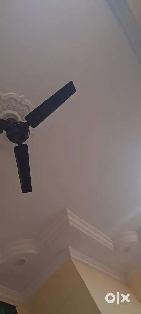 Well-Maintained 2 Room house near Mhalgi Nagar