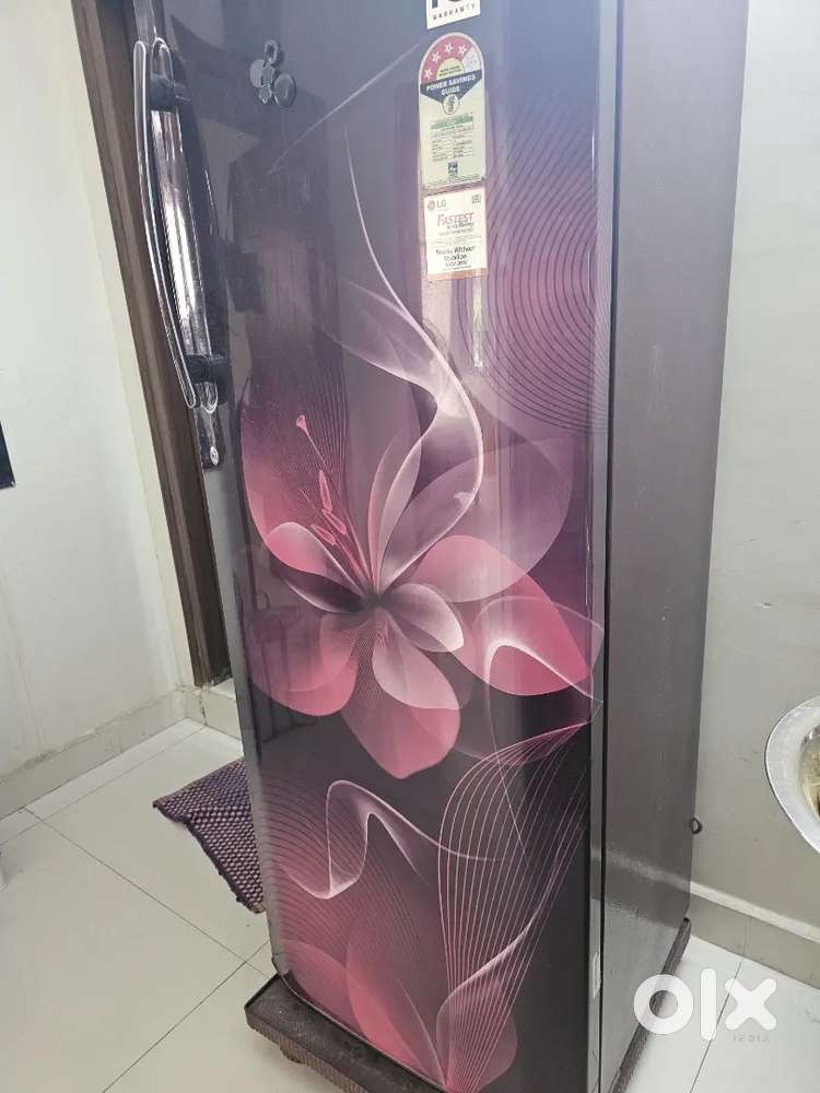 LG 270 litres