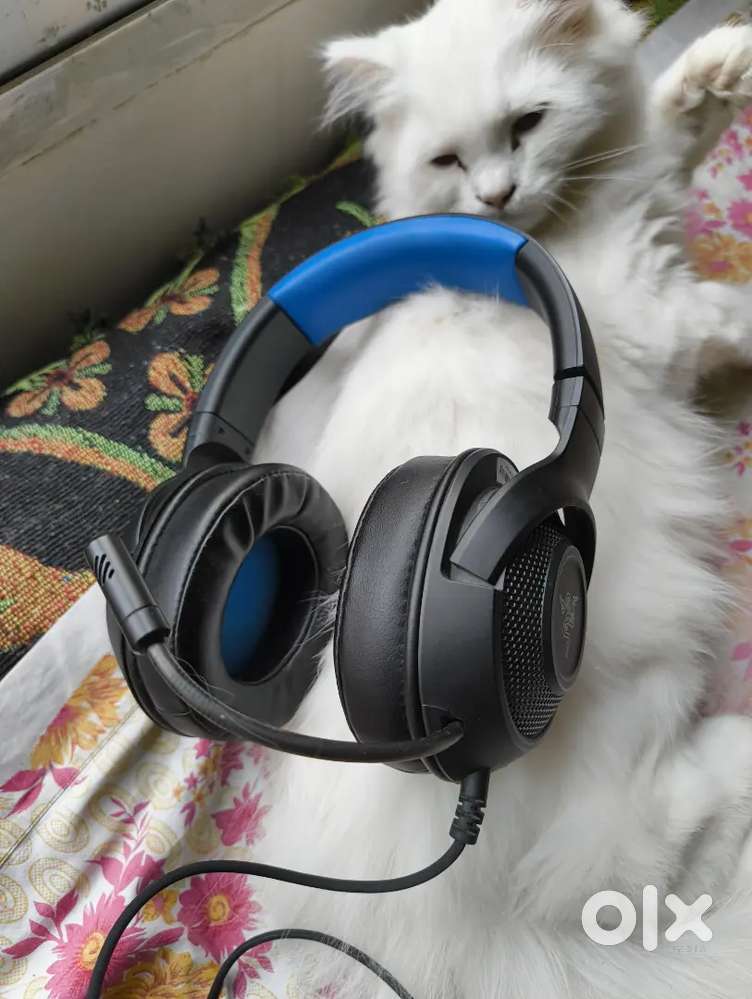 Headphone razer redgare