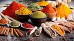 Sales Executive Staff at Food Firm ( Male / female )