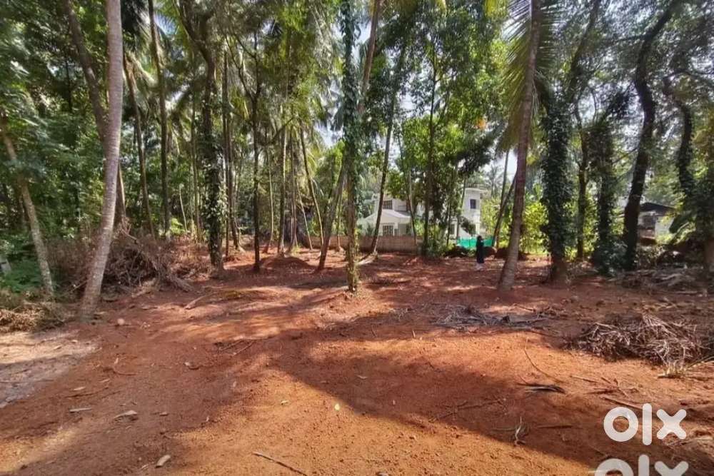 Square plot for sale near Tirur