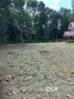 Pullad Elapunkal bus route 300 mtr distance house plot for sale.