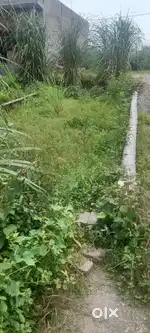 मांग तांग 18000 रुपए गज है बाकी मान सम्मान जरुर रखा जाएगा
