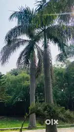 60 sqyd plot for sale on 24 ft main road