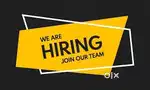 Website Developer + SEO Expert