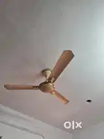 Bajaj ceiling fan