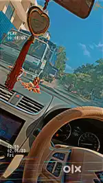 Professional Driver