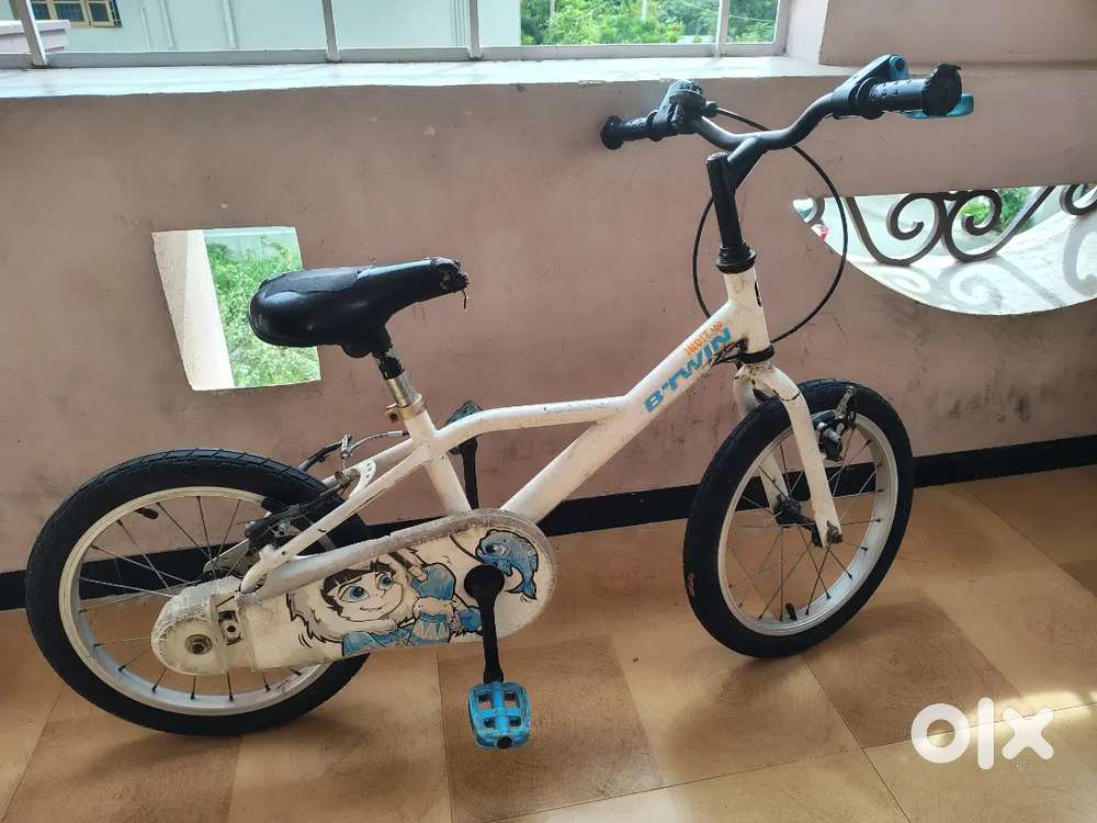 Inuit 100 for sale