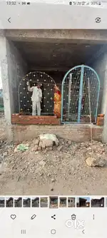 Steel Gate with Windows