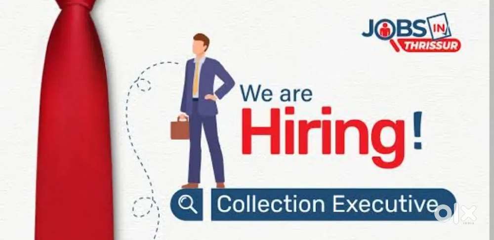 Collection Executive