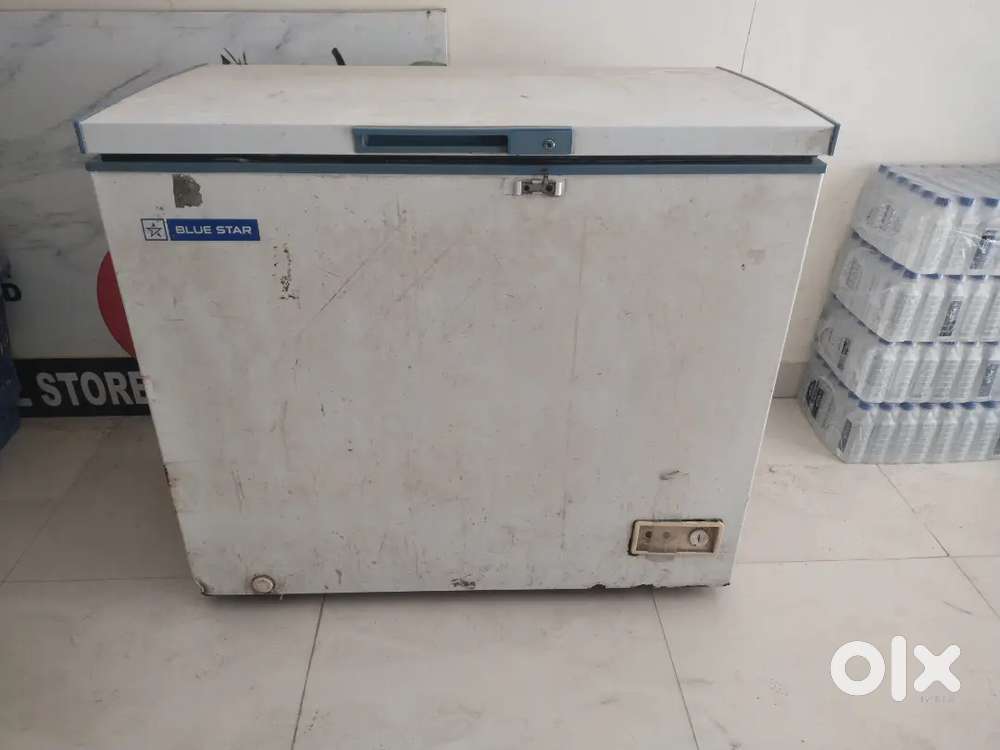 D freezer  blue Star