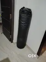 Punching bag (boxing )