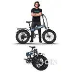Premium Electric Bicycle - Best Quality -  EMotorad Doodle V3