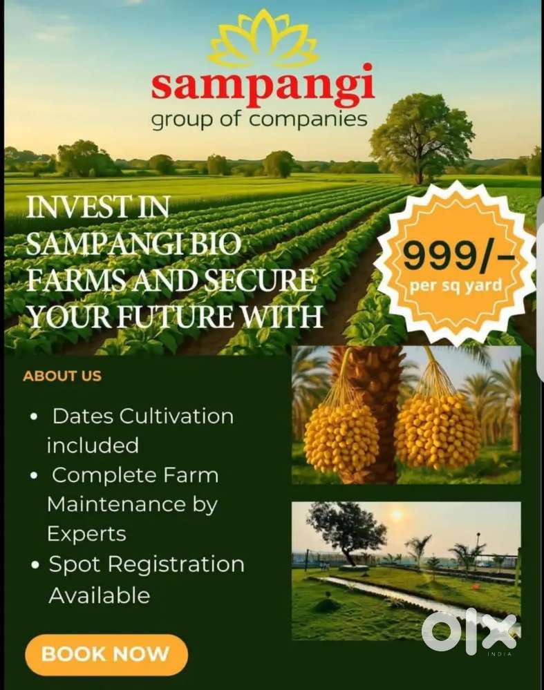 Date palm cultivation, Dragon fruit and anjeer cultivation