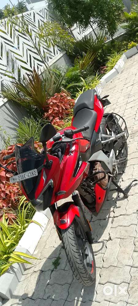 pulsar model 2022 owner 1st