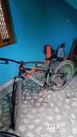 Cult Sport 1 year old cycle