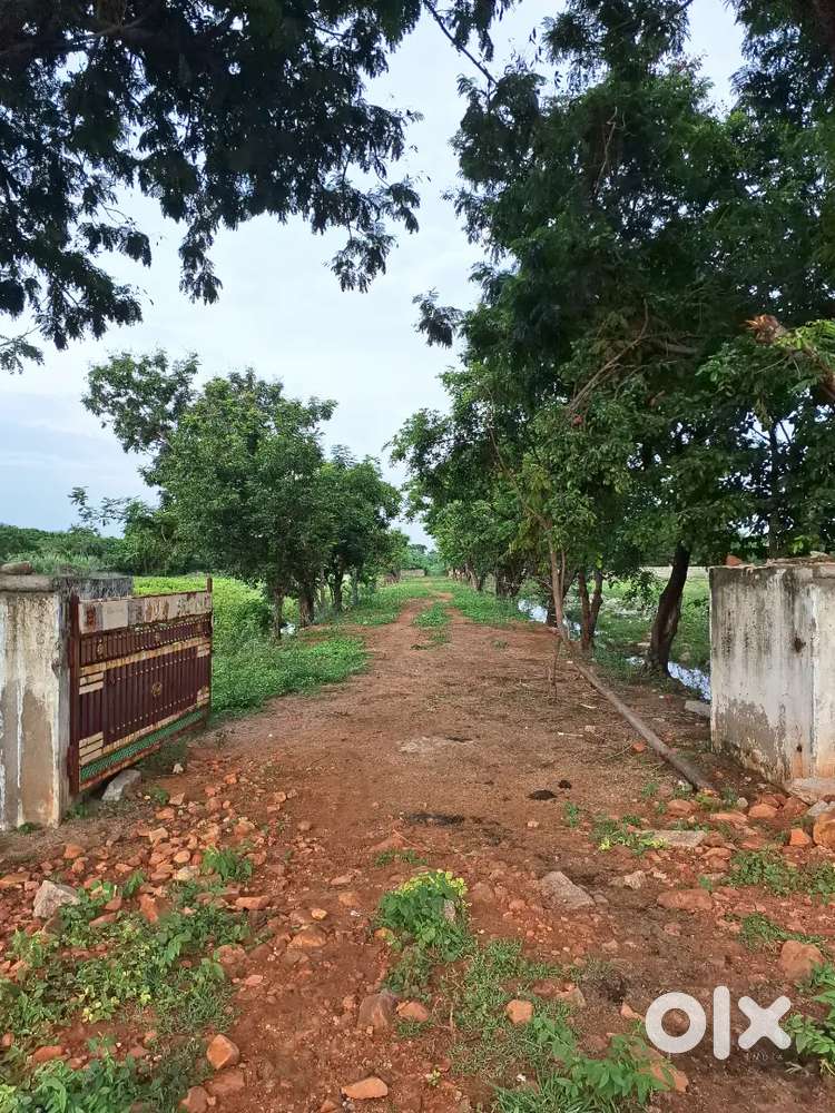 Housing Plot for Sale in Mangalam