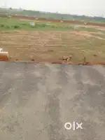 Required 3 to 4 dicmile plot near balasore ମତେ କିଣିବାର ଅଛି