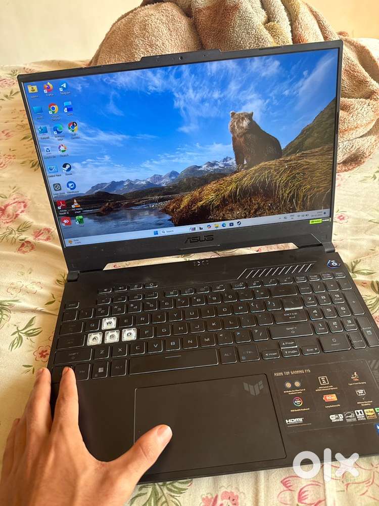 Asus tuf gaming f15 4060 graphic card