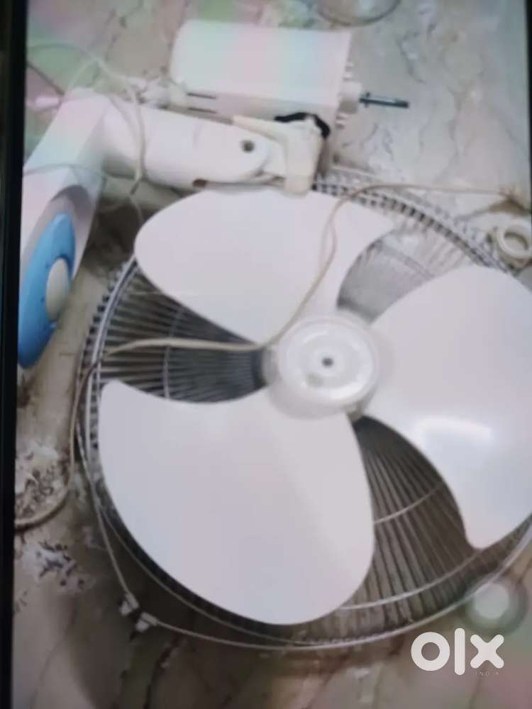Havells fan