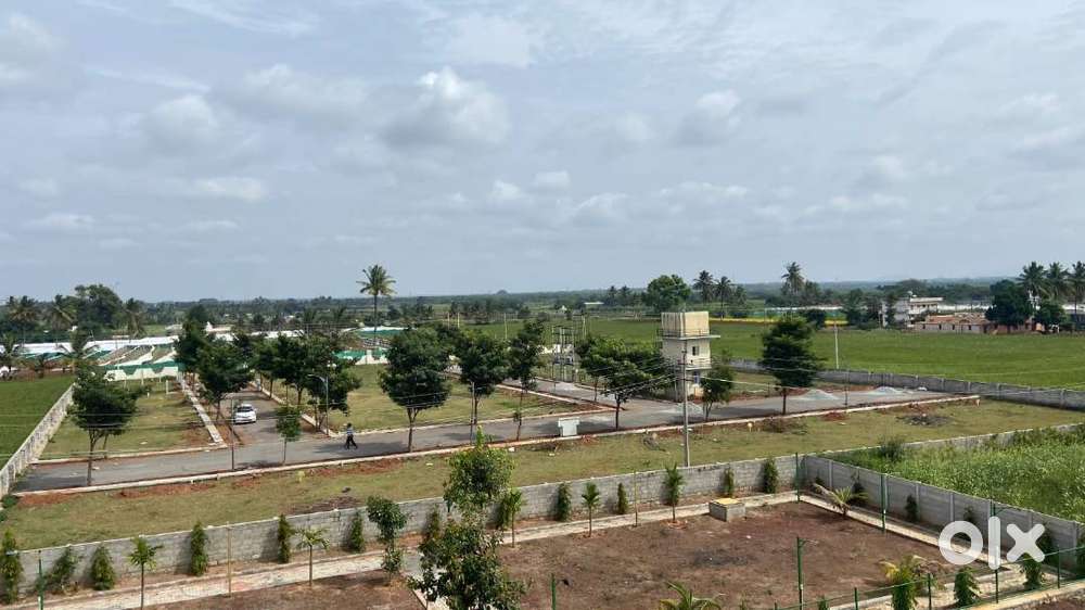 ''Secure Your Future with BIAAPA Plots”