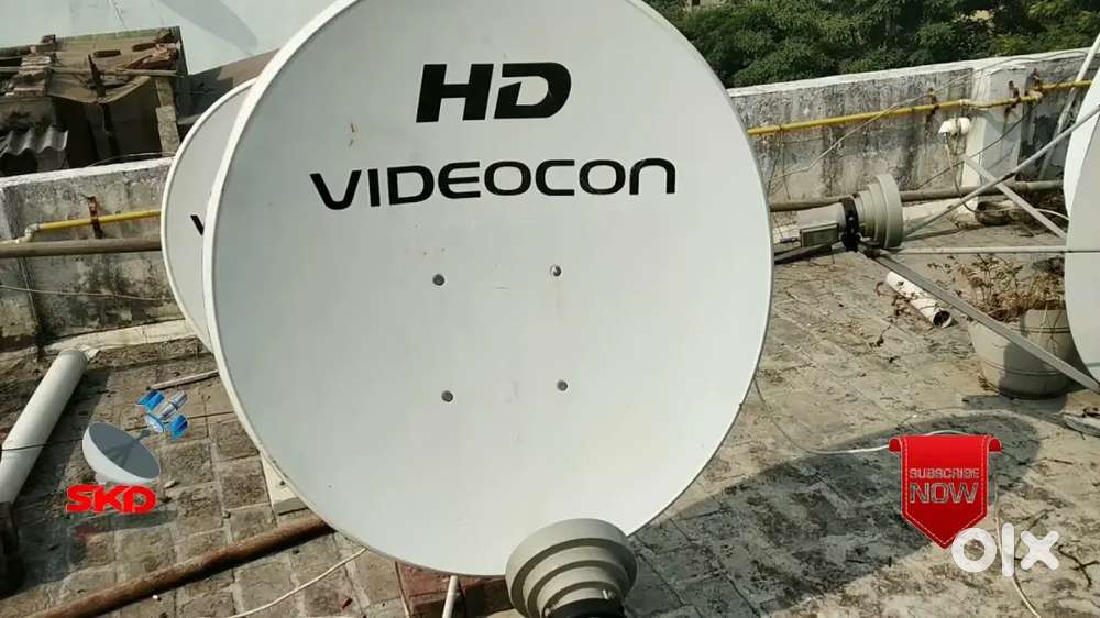 Videocon Dish Antenna with Cable – 20 Meter – Good Condition