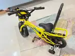 Kids' Bicycle- Lifelong Juniors Ride