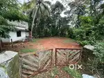9 cent plot fir sale