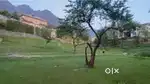 Commercial land in City Hill Nishat.