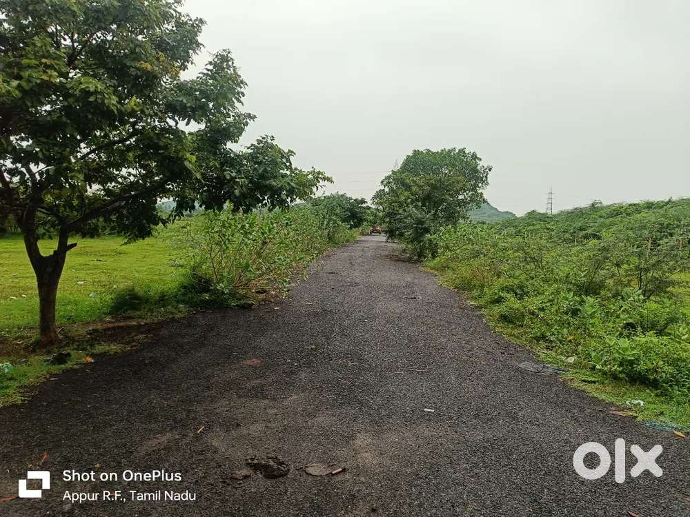 Plot sell in Singaprumal Kovil