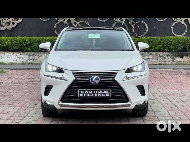 Lexus NX lexus-nx-300h-luxury, 2020, Petrol