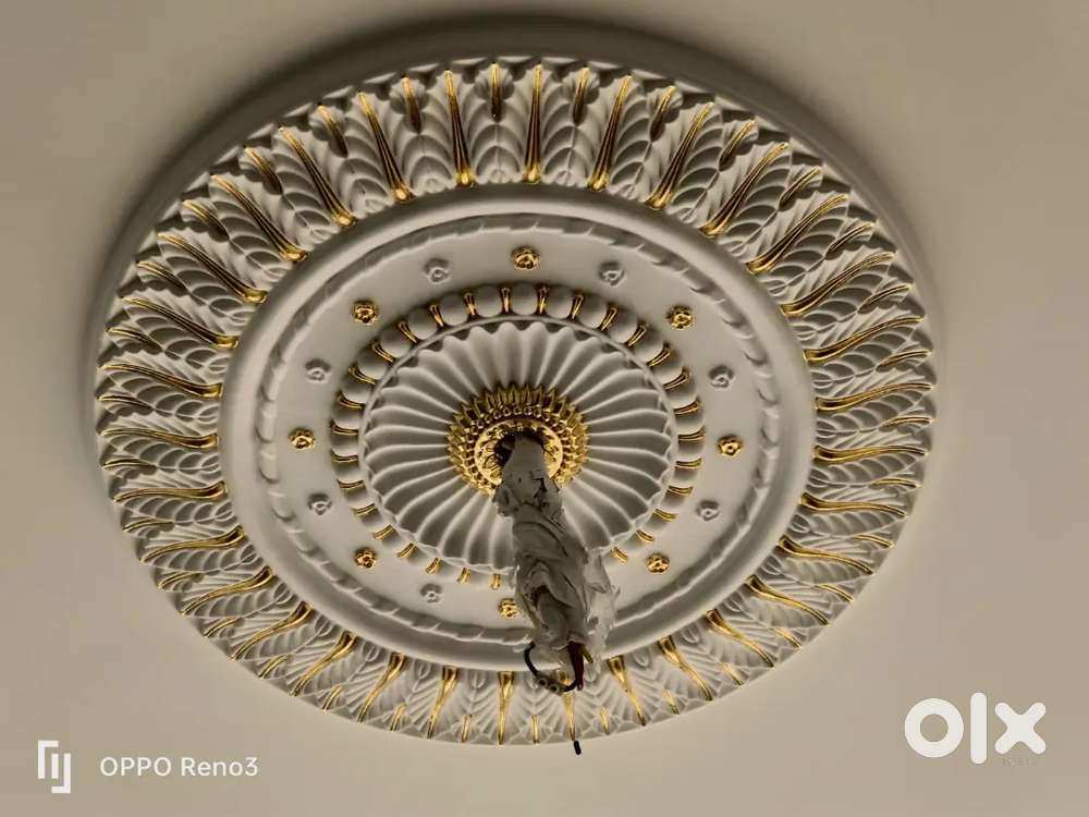 Commercial and Residential Renovation