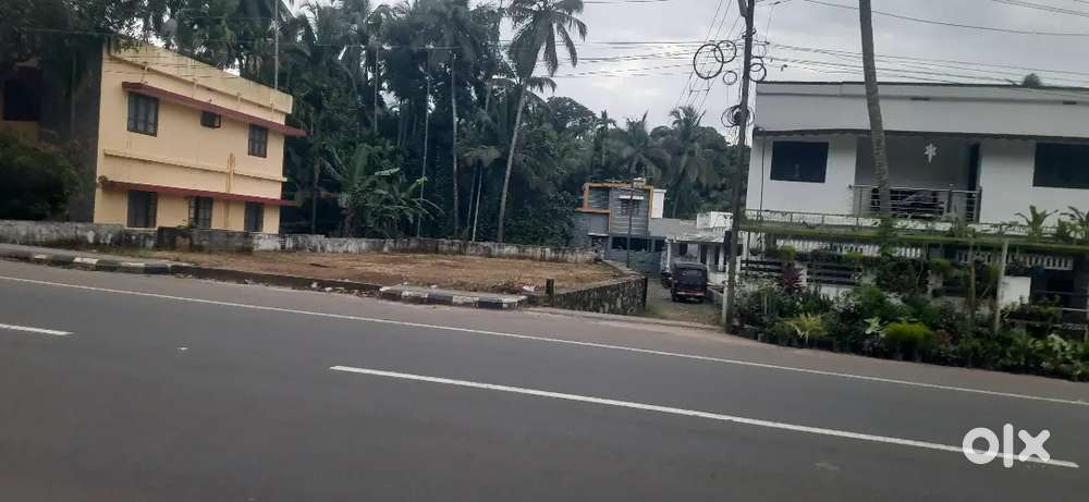 Muttikulangara,  Jn  Calicut Bypass, Road, 12,40,Cent Commercial