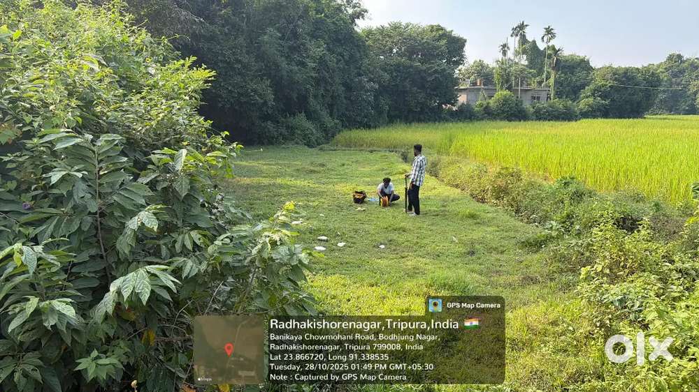 2 kani land sale only Schedule Tribe