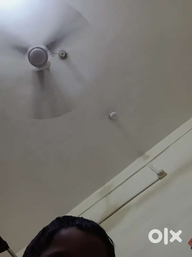 Relwe station ke pas kuber para naila Janjgir