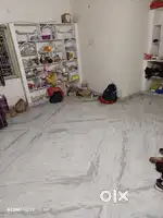 Female rommate required for penthouse
