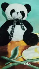 Shreya Saloni jena