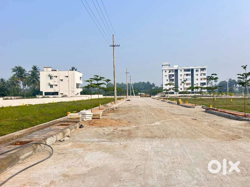 Plot for Sale in Tagarapuvalasa