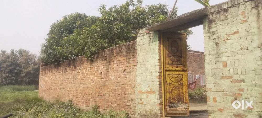 5 bise complete plot village haryana joya