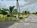 Farm land 15 cents