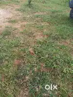 Open land  3  acres