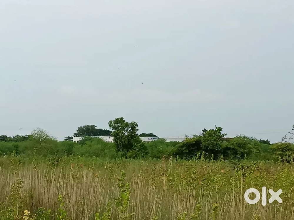 1700 sq. Feet plot at outer ring road touch ( mauja narasala