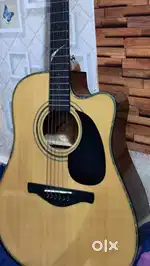 Professional guitar Dadarwood brand