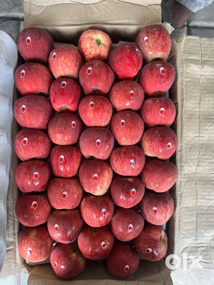 Need a staff for  fruits wholesale shop