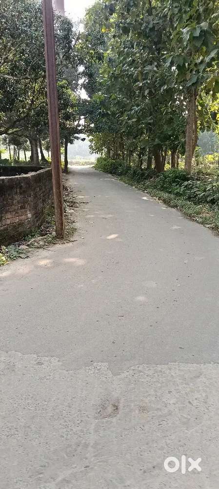 ৩ লাখ টাকা কাঠা মোট জমি দের কাঠা