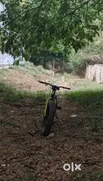 fat bicycle