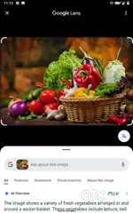 Vegetable helper