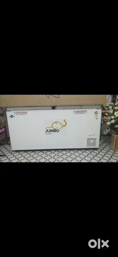 Jumbo freezer